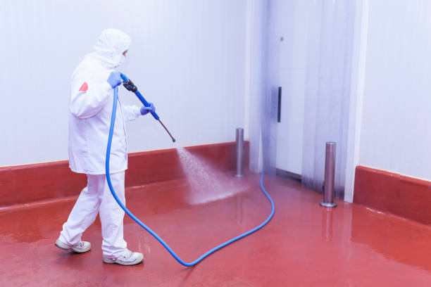 Best Spring Cleaning  in Hastings On Hudson, NY